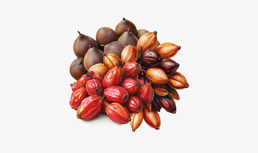 Triphala_0db498c0-bf32-4b08-99ee-68016622022e.jpg